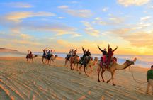 Cooking class and camel ride with lunch
