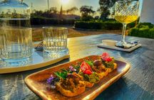 Gastronomic wine tasting in Mertola