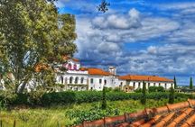 Classic tasting the essence of Mértola in three glasses