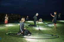 Illuminated glassSUP night tour in Kiel and surrounding areas