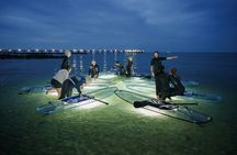 Illuminated glassSUP night tour in Kiel and surrounding areas