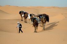 4x4 off-road adventure to Matmata and Ksar Ghilane with lunch