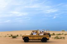 Al Marmoom desert safari tour by vintage G Class