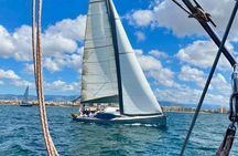 Private half day sailing boat