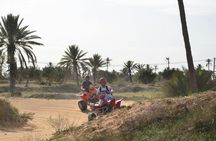 Half-day quad tour in Djerba with cultural and scenic highlights