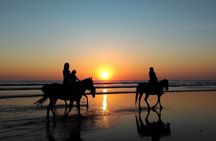 2-hour guided horse ride along the beach in Djerba