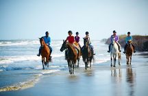 2-hour guided horse ride along the beach in Djerba