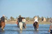 2-hour guided horse ride along the beach in Djerba