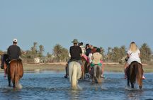 2-hour guided horse ride along the beach in Djerba