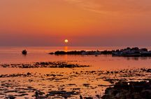 Sunrise horseback ride across Djerba's landscapes