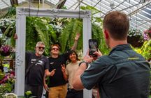 Half-day discovery tour of Melbourne City