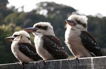 Grampians National Park Small-Group Full-Day Tour