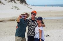 Wilson's Promontory National Park full-day tour