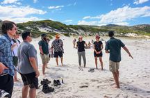 Wilson's Promontory National Park full-day tour
