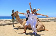 Cooking class and camel ride with lunch from Agadir