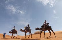 Douz, Matmata and Toujane guided tour from Djerba or Zarzis