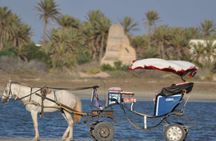 Half-day lagoon carriage ride with swim and lunch