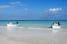 Half-day lagoon carriage ride with swim and lunch