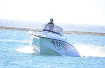 Boat tour and dolphins watching