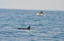 Jet ski adventure