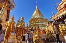 Private half-day tour to Wat Pha Lat and Wat Phra That Doi Suthep