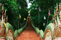 Private half-day tour to Wat Pha Lat and Wat Phra That Doi Suthep