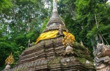 Private half-day tour to Wat Pha Lat and Wat Phra That Doi Suthep