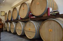 Negroamaro vineyard tour and wine tasting in Guagnano