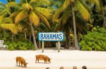 Grand Bahama tour with optional Pig Beach visit