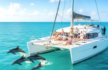Key West tour with dolphin watching from Miami
