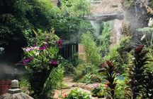 Dantewada, Wat Ban Den and Sticky Waterfall private day tour