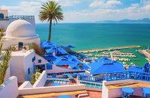 Private guided tour to Tunis, Carthage and Sidi Bou Said