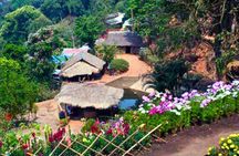 Half-day tour to Doi Suthep and Doi Pui Hmong Village in Chiang Mai
