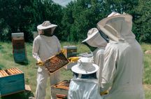 Guided beekeeping tour in Andorra with honey-tasting