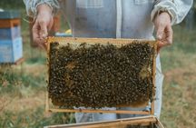 Guided beekeeping tour in Andorra with honey-tasting