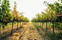 Ginosa private tasting experience from Matera