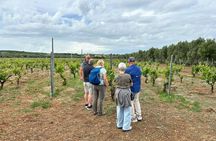 Ginosa private tasting experience from Matera