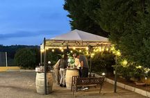 Ginosa private tasting experience from Matera