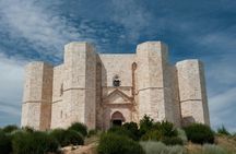 Half-day private tour to Castel del Monte from Bari
