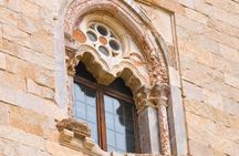 Half-day private tour to Castel del Monte from Bari