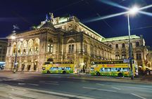 One hour Vienna night bus tour