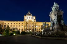 One hour Vienna night bus tour