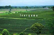 Private full-day tour to Chiang Rai with van and driver