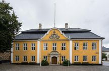 Aalborg city highlights walking tour with a local guide