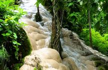 Half-day private tour with driver to Bua Thong Waterfall