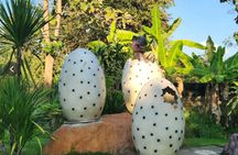 Explore Changthong Heritage Park and Hidden Village in Chiang Mai