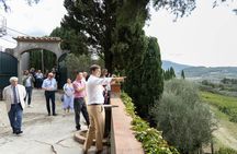Chianti Rufina tour with wine tasting and lunch at Villa Travignoli