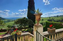 Villa Travignoli guided winery tour with wine tasting and lunch