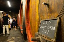 Villa Travignoli guided winery tour with wine tasting and lunch