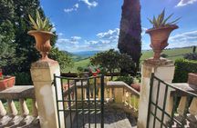Old vintage wine tour and tasting with Tuscan lunch